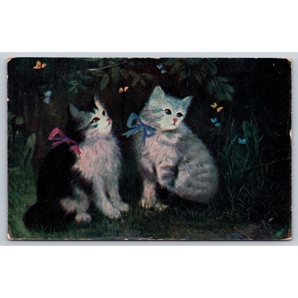 Postcard Antique Two Kittens Watching Butterflies Bows Posted 1910 Emmet Idaho - Picture 1 of 2